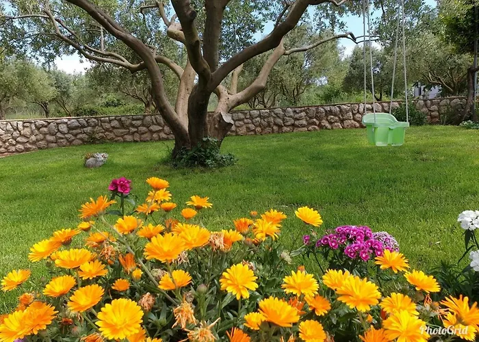 Апартаменты Marina Свети-Филип-и-Яков